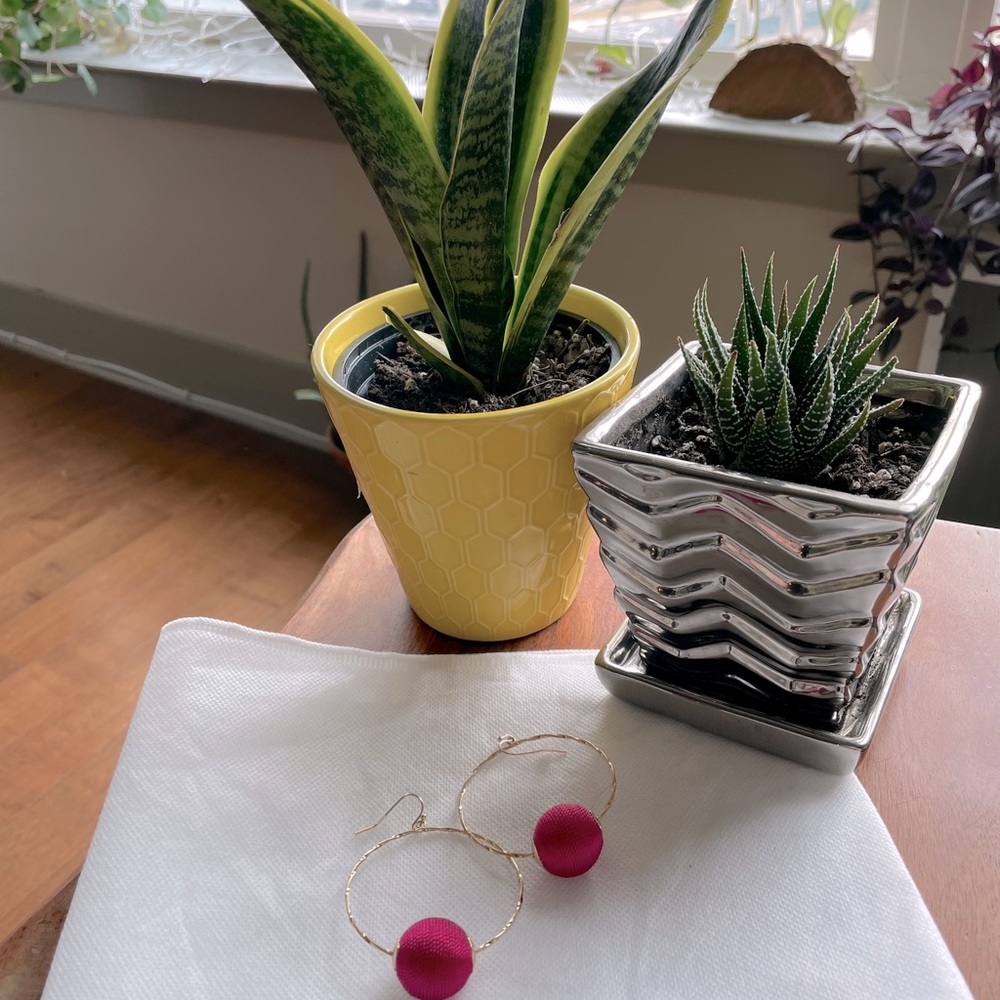 Express earrings